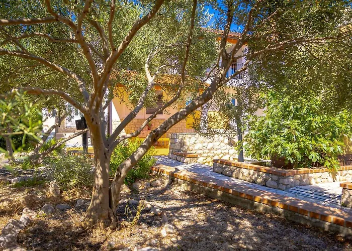 In Barbat With Wifi Barbat na Rabu